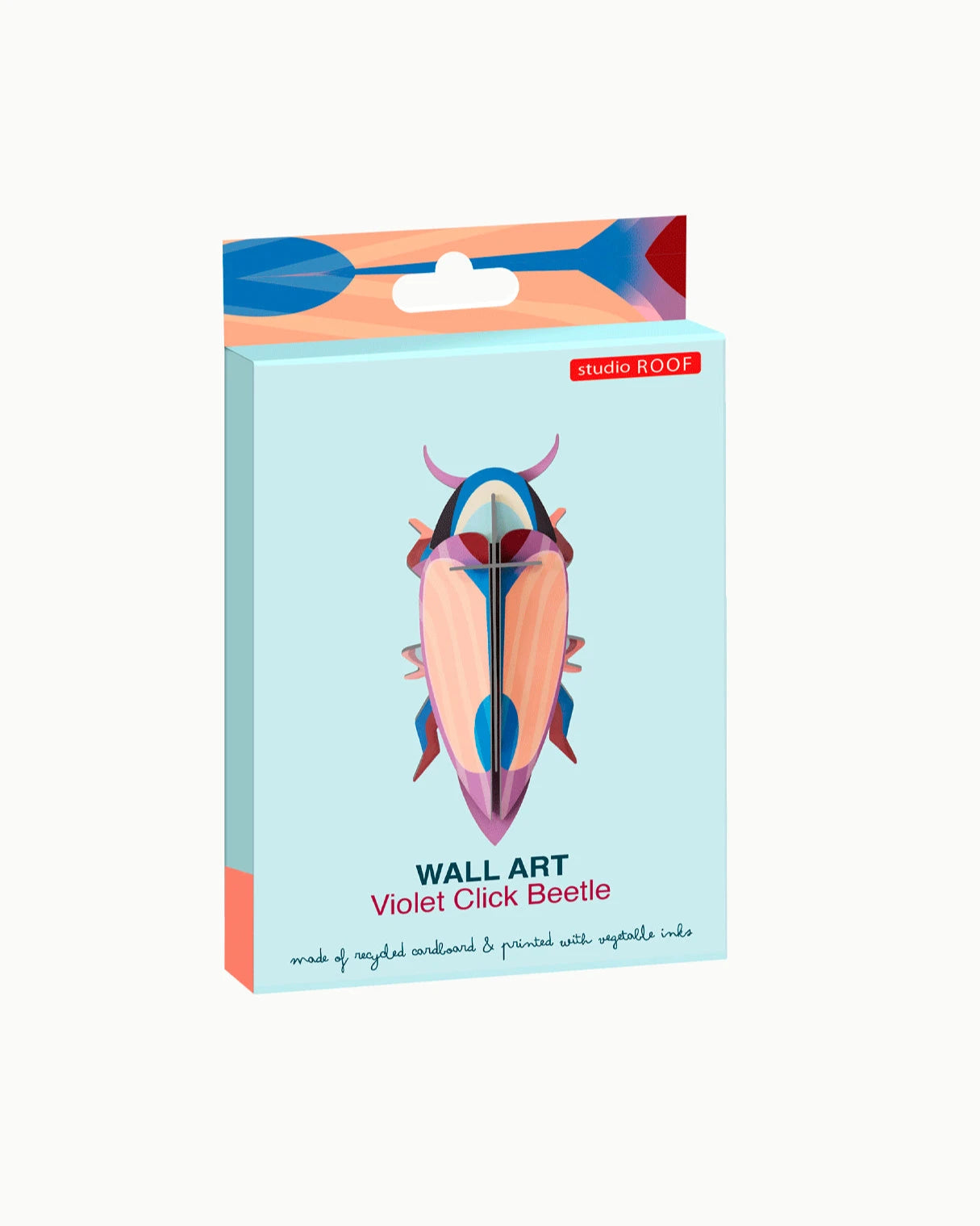 Violet Click Beetle