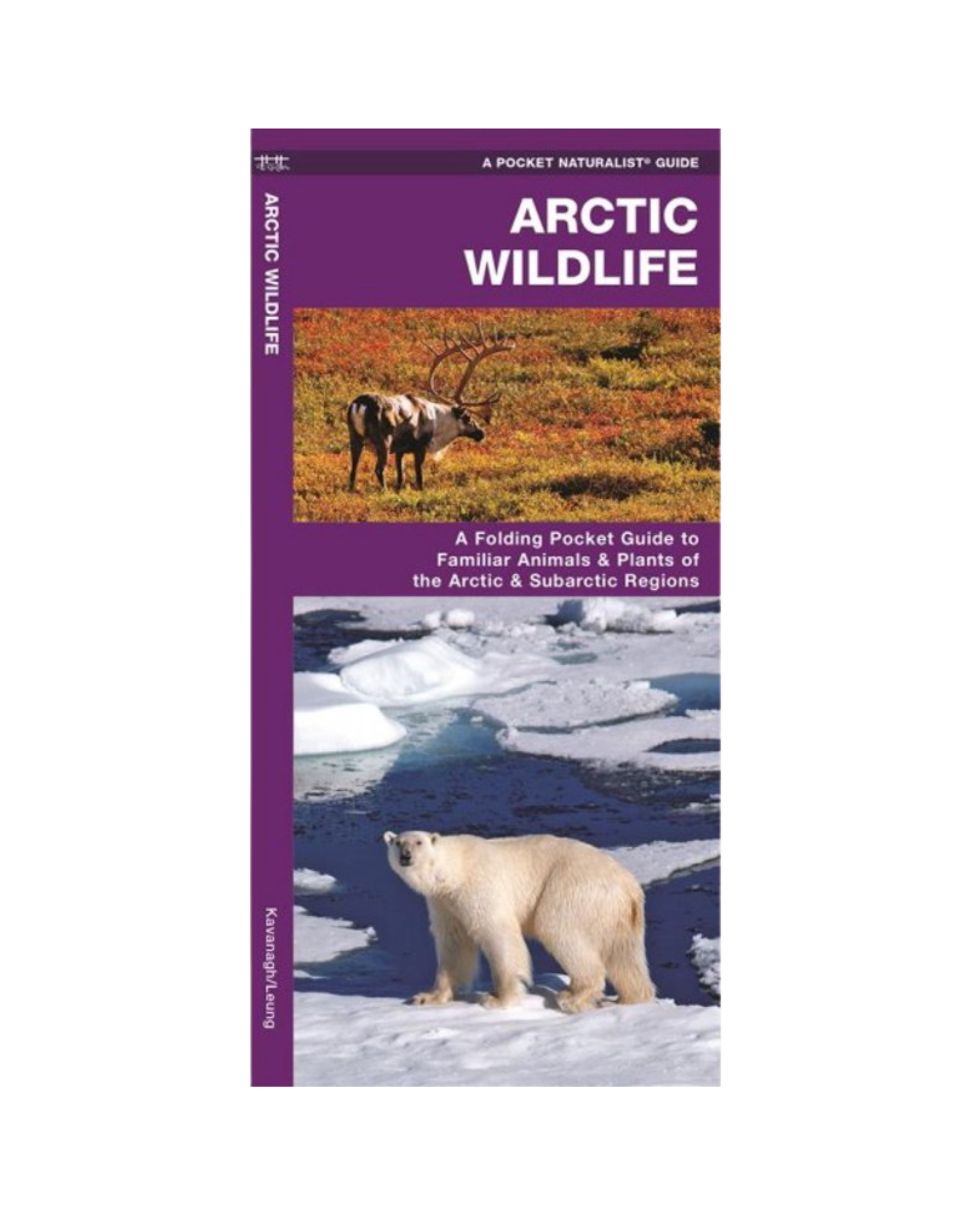 Arctic Wildlife: A Folding Pocket Guide
