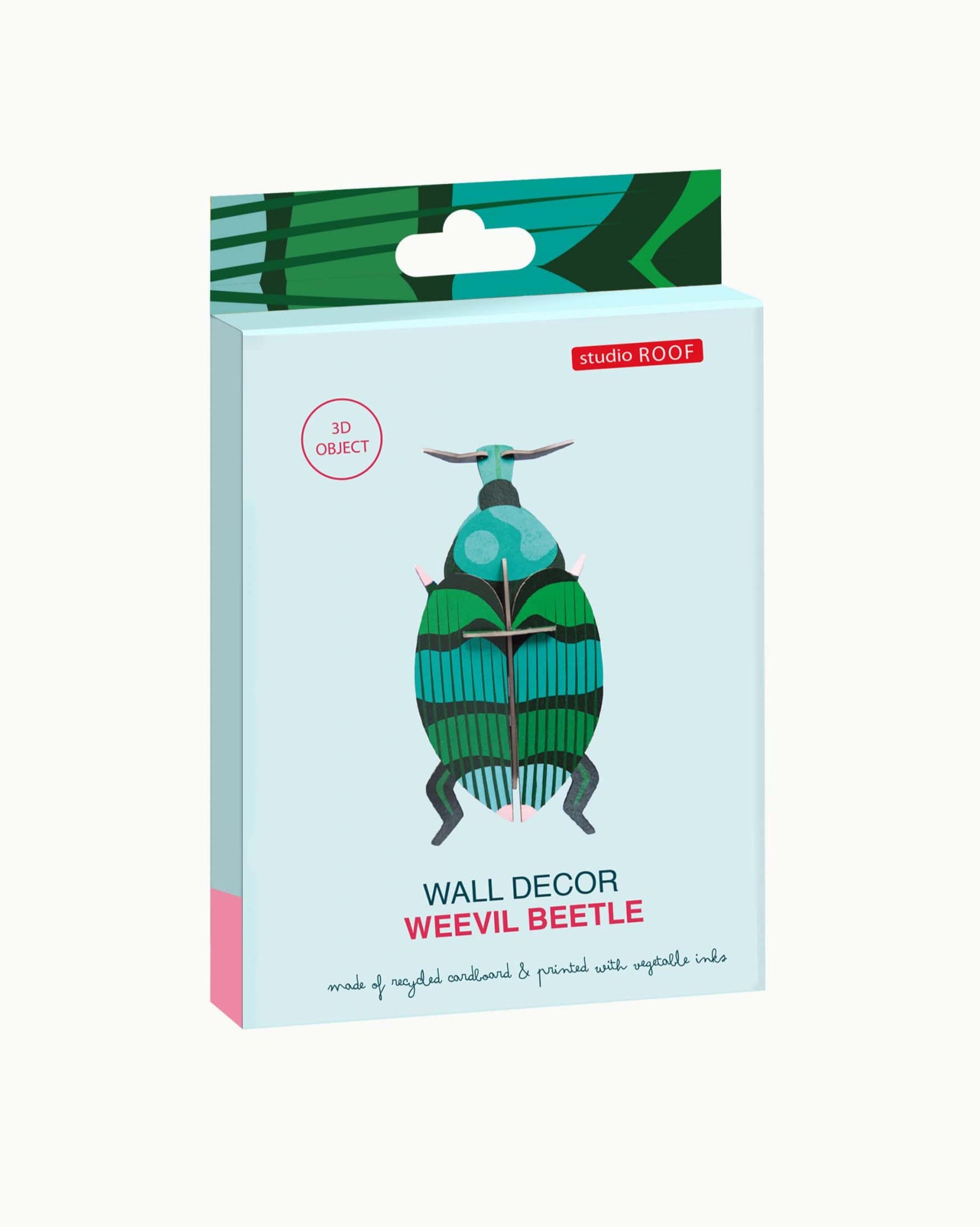 Weevil Beetle