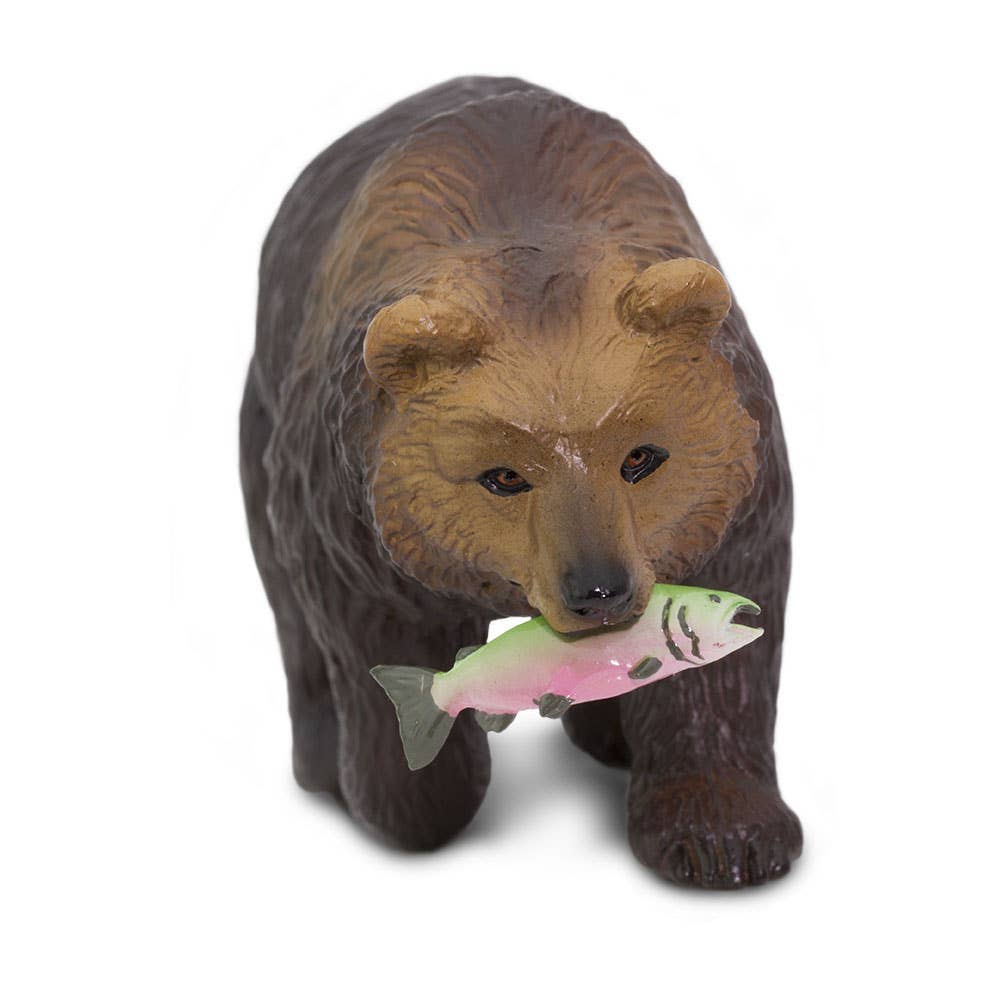 Grizzly Bear