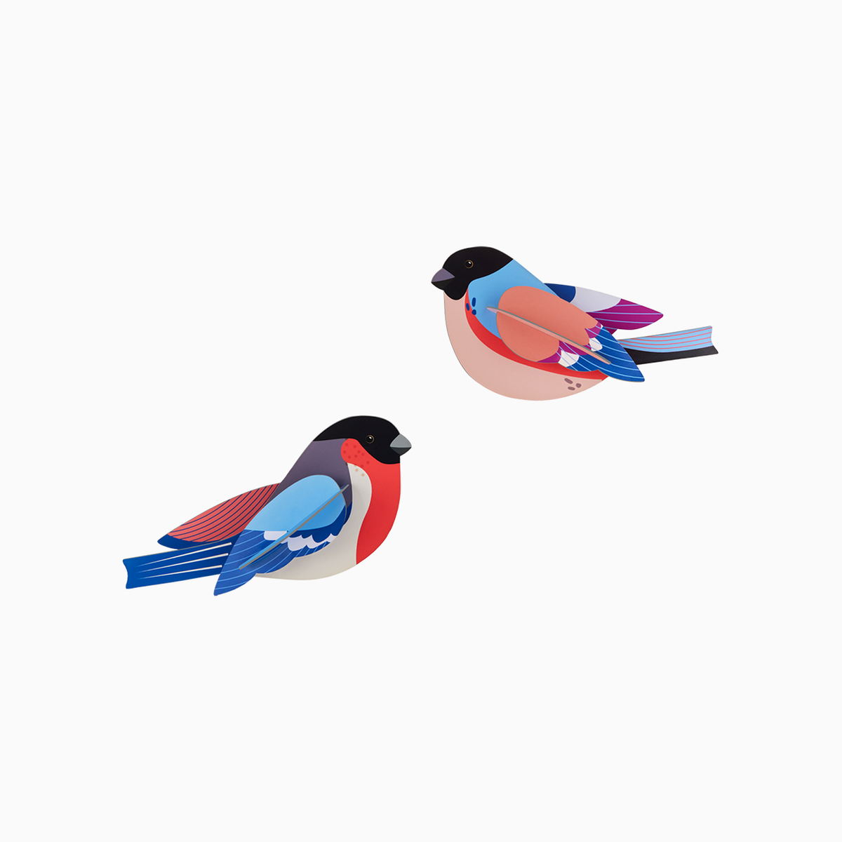 Garden Birds - Finches