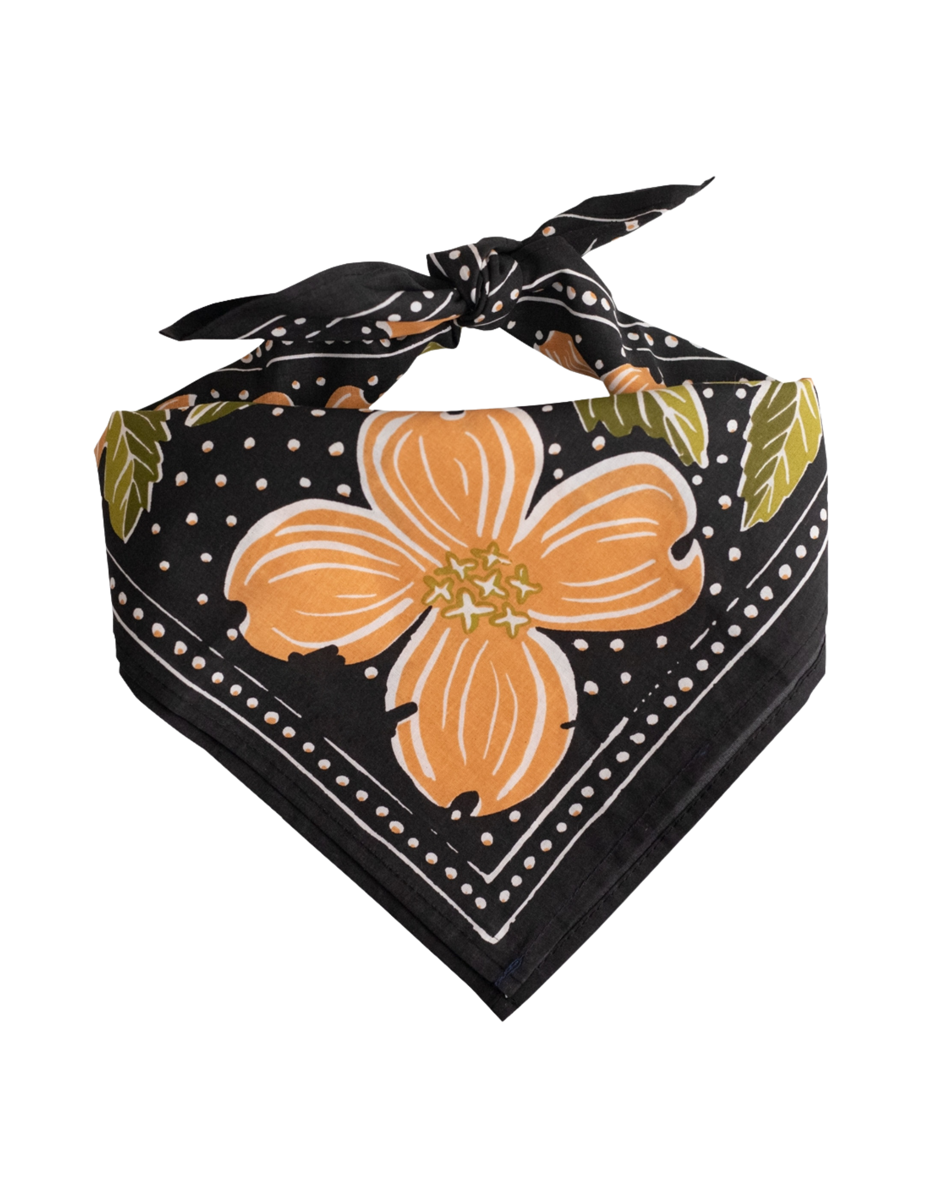 Amy Bandana