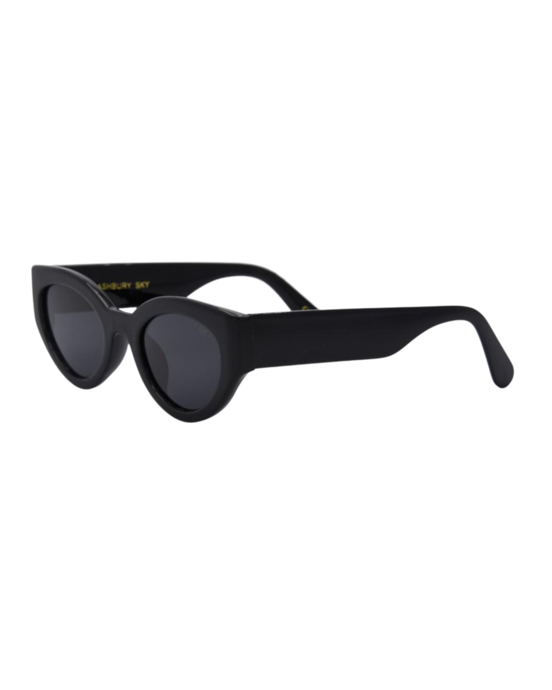 Ashbury Sky Sunglasses Black/Smoke Polarized Lens