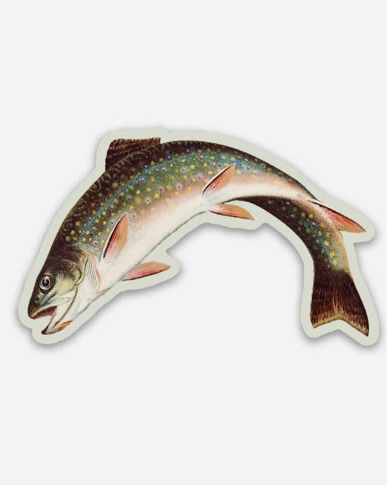 Scandalized Rainbow Trout - Gap Filler Sticker