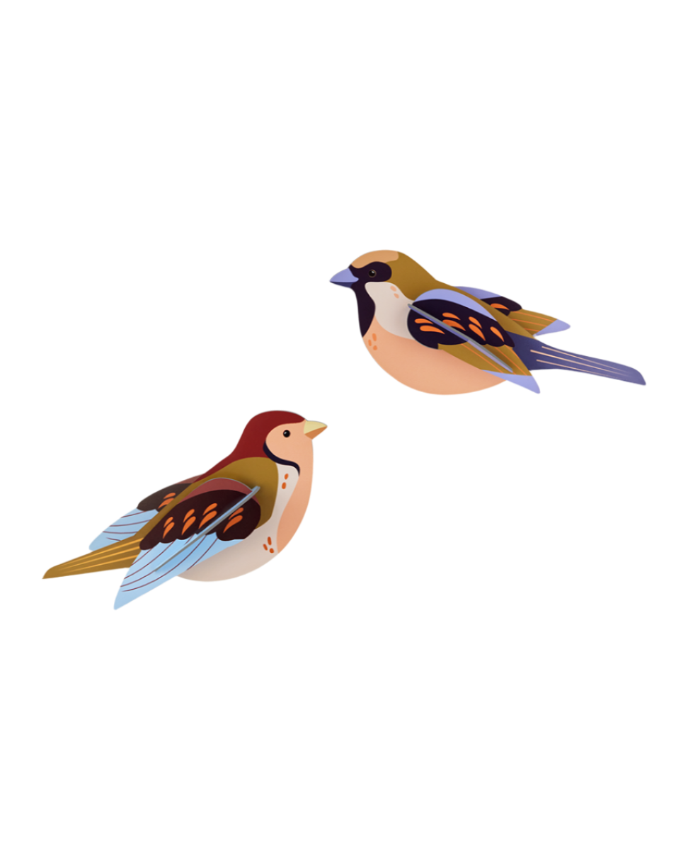 Sparrows
