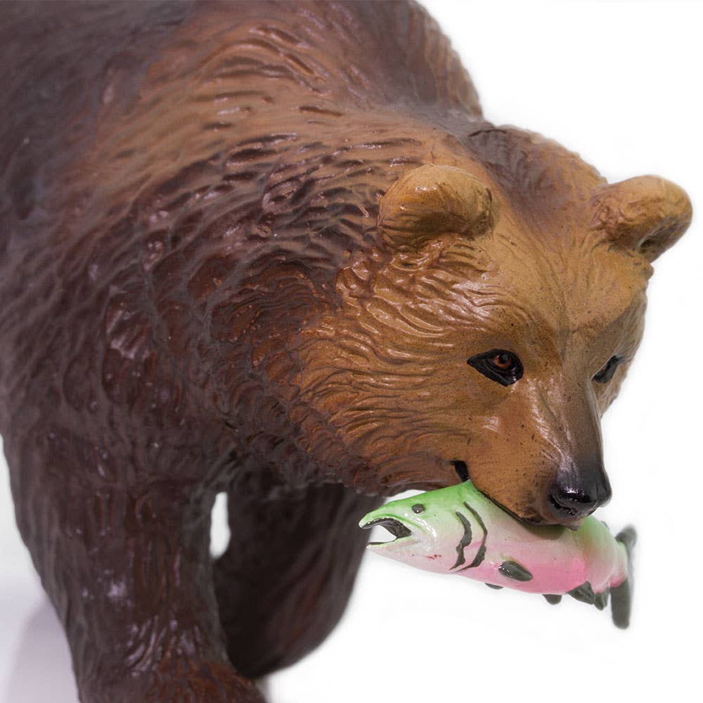 Grizzly Bear
