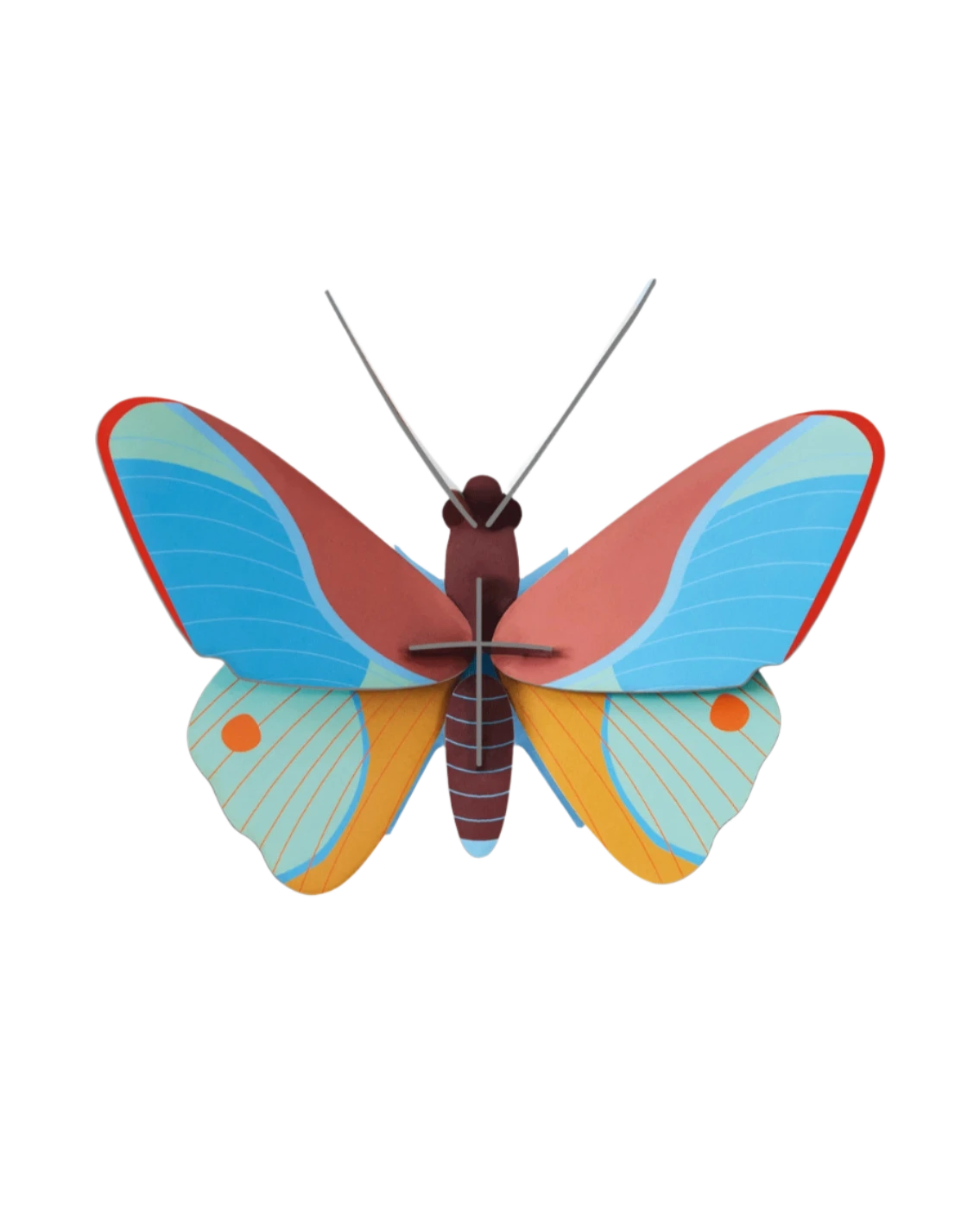 Claudina Butterfly
