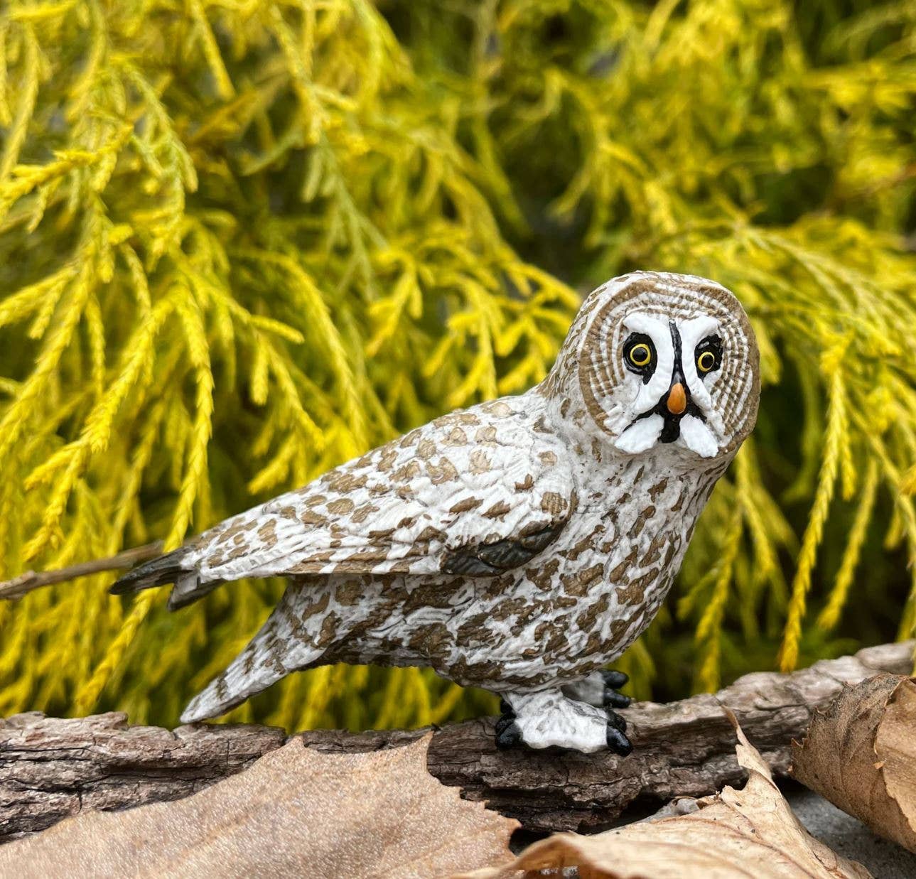 Great Grey Owl