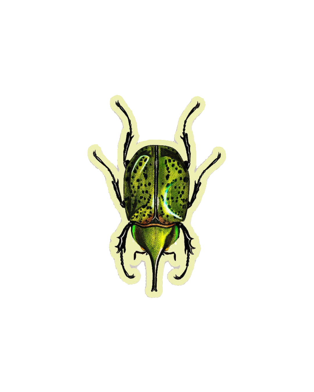 Blissful Beetle - Gap Filler Sticker