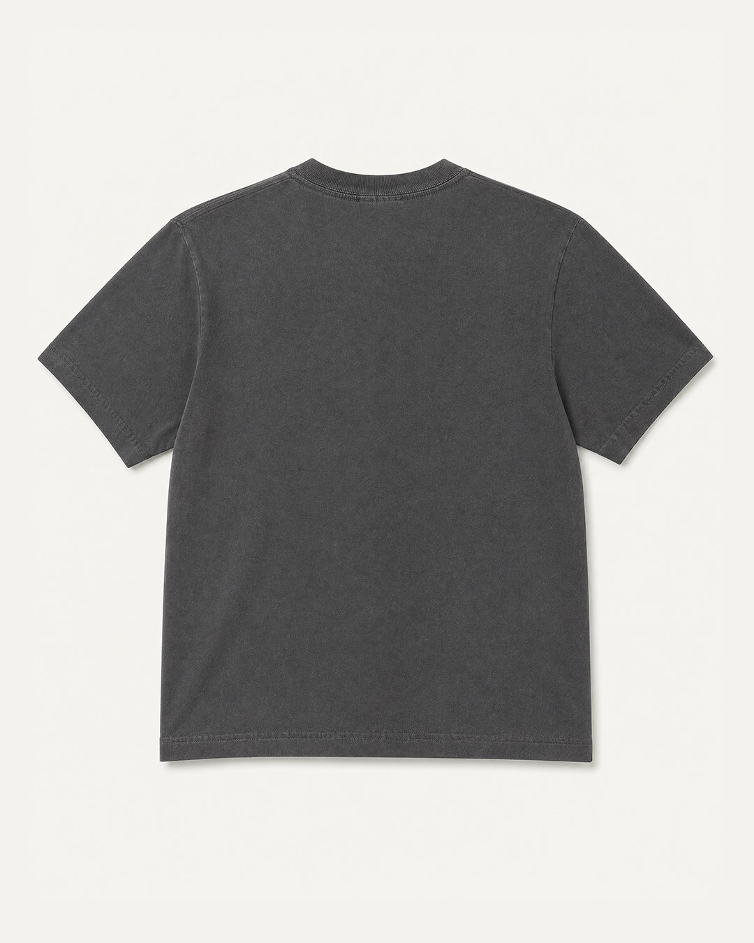 Women's Banff Rockies Tour Vintage T-Shirt - Faded Black