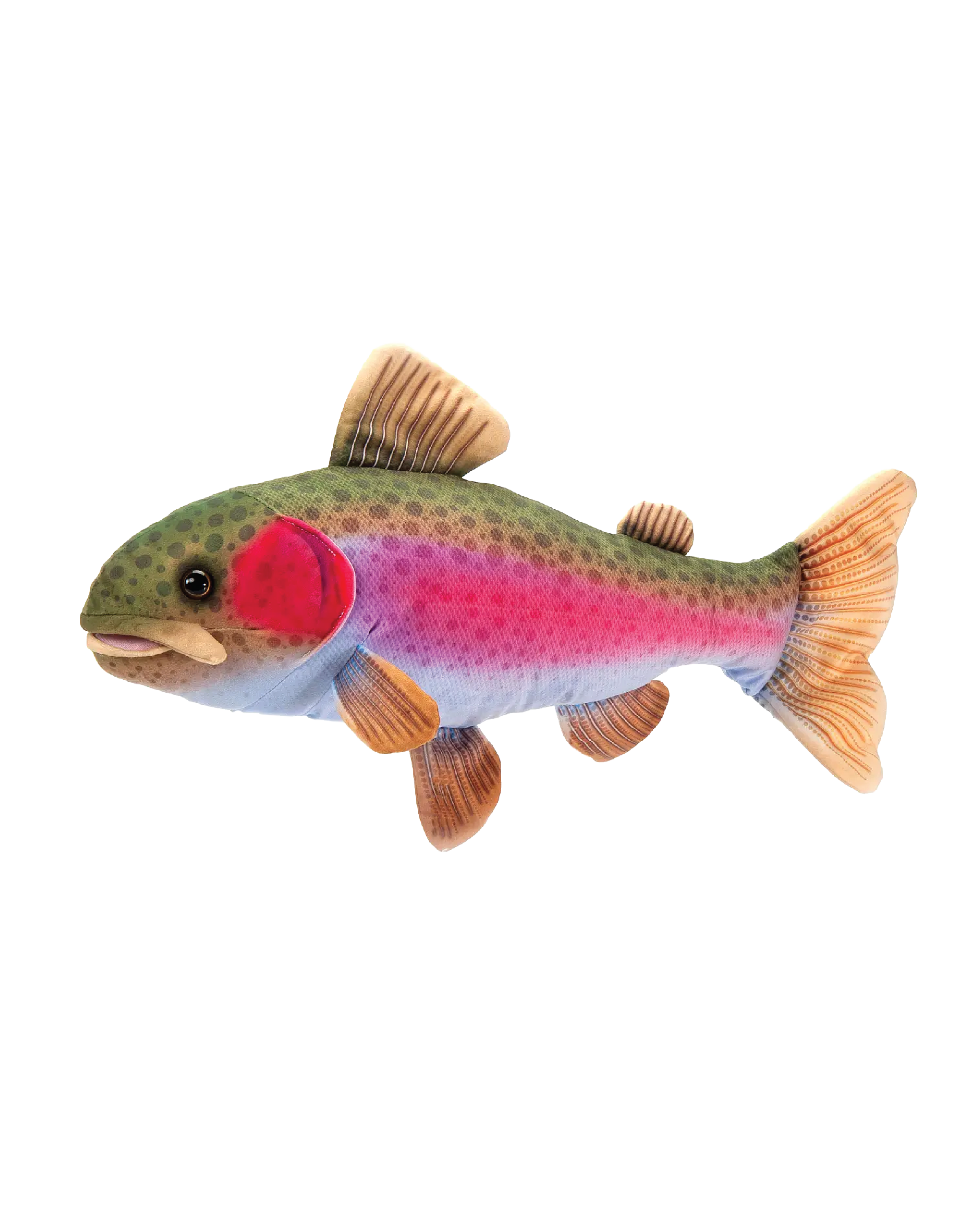 River Fish Rainbow Trout