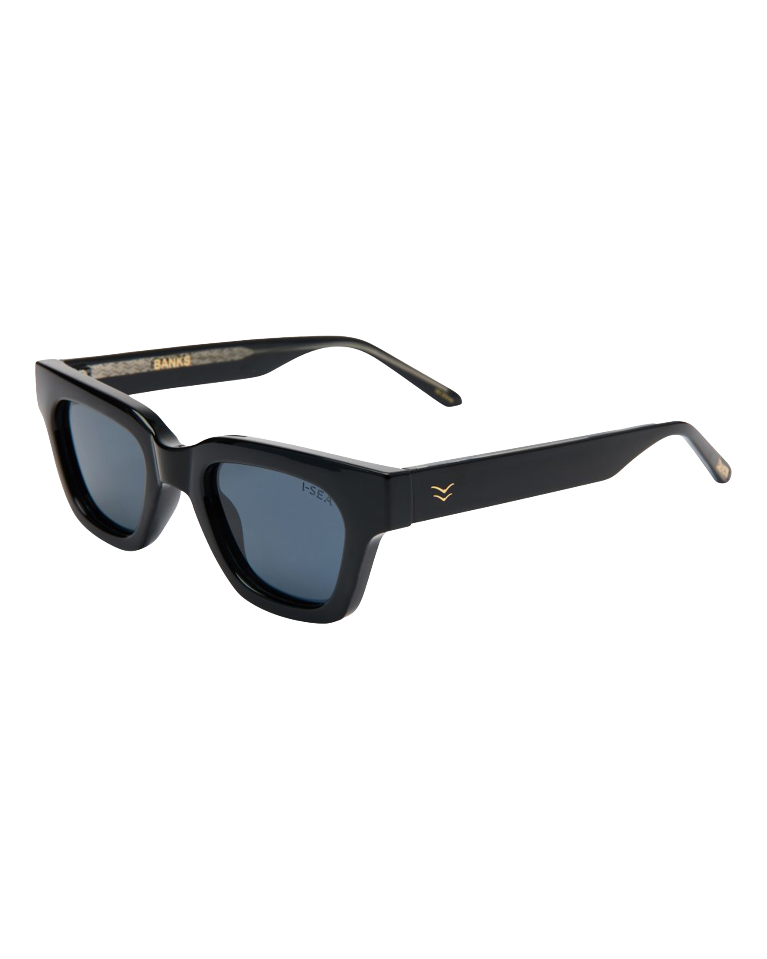 Banks Sunglasses Black/Smoke Polarized Lens