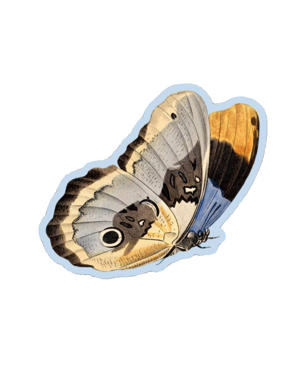Unconcerned Butterfly - Gap Filler Sticker