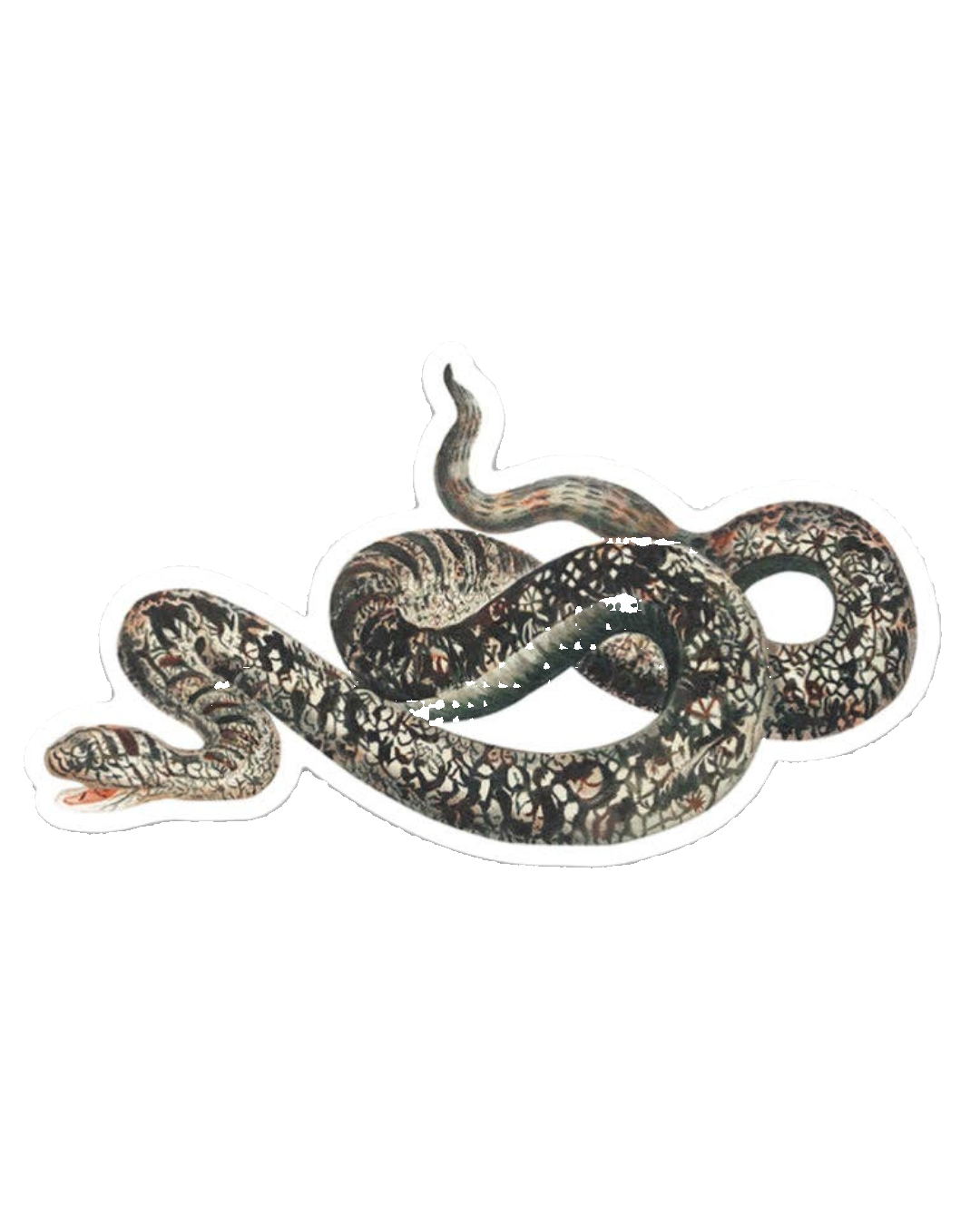 Appalled Snake - Gap Filler Sticker