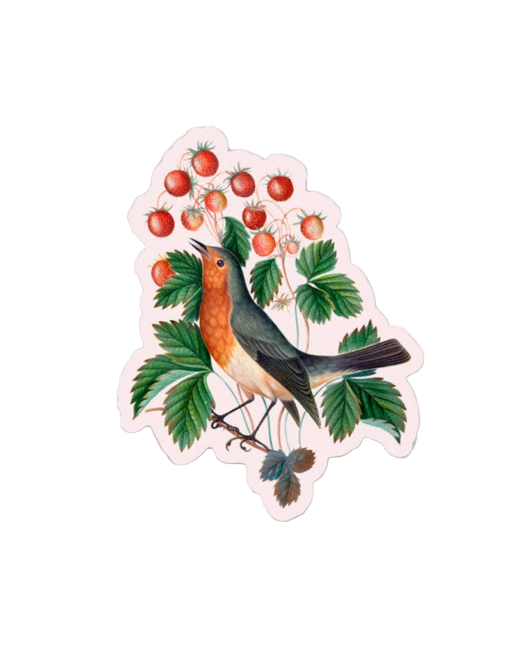 Determined Robin - Gap Filler Sticker