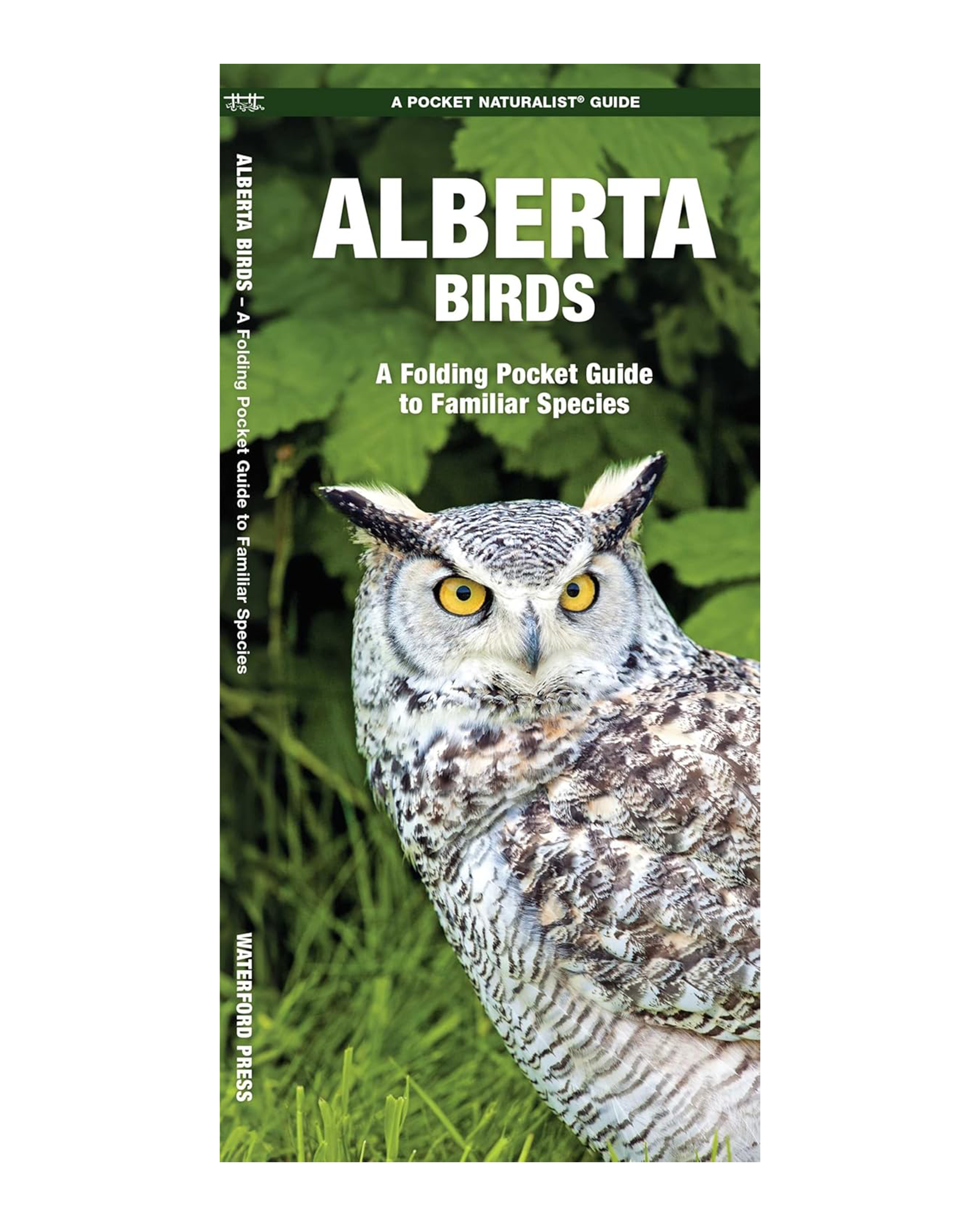 Alberta Birds: A Folding Pocket Guide to Familiar Species