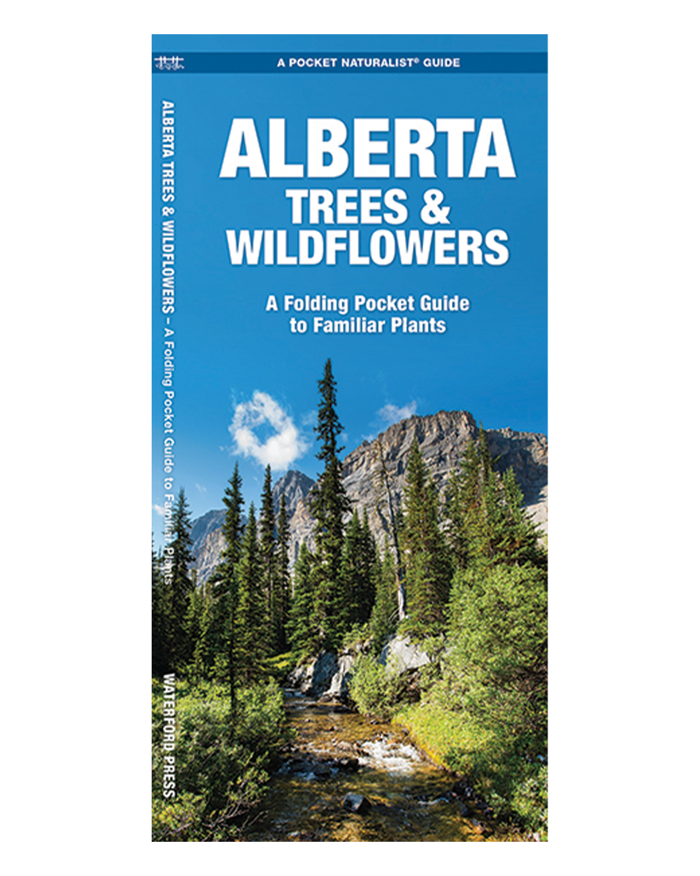 Alberta Trees & Wildflowers: A Folding Pocket Guide