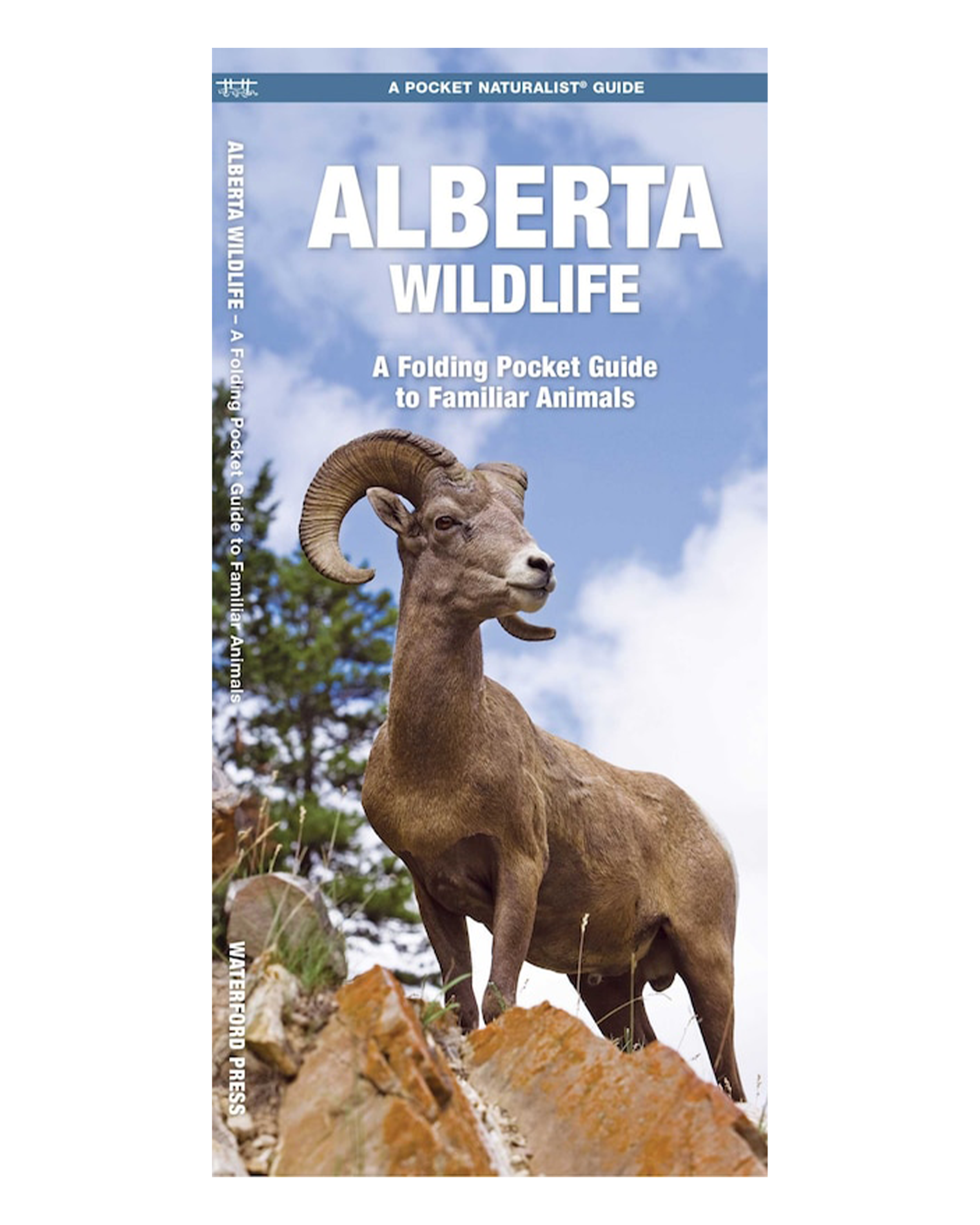 Alberta Wildlife: A Folding Pocket Guide