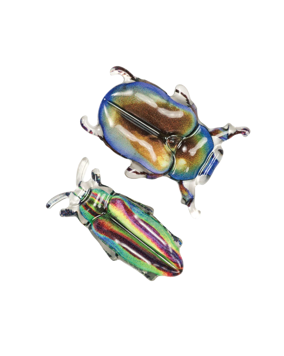 Allie Beetle Clips in Disco Diggers