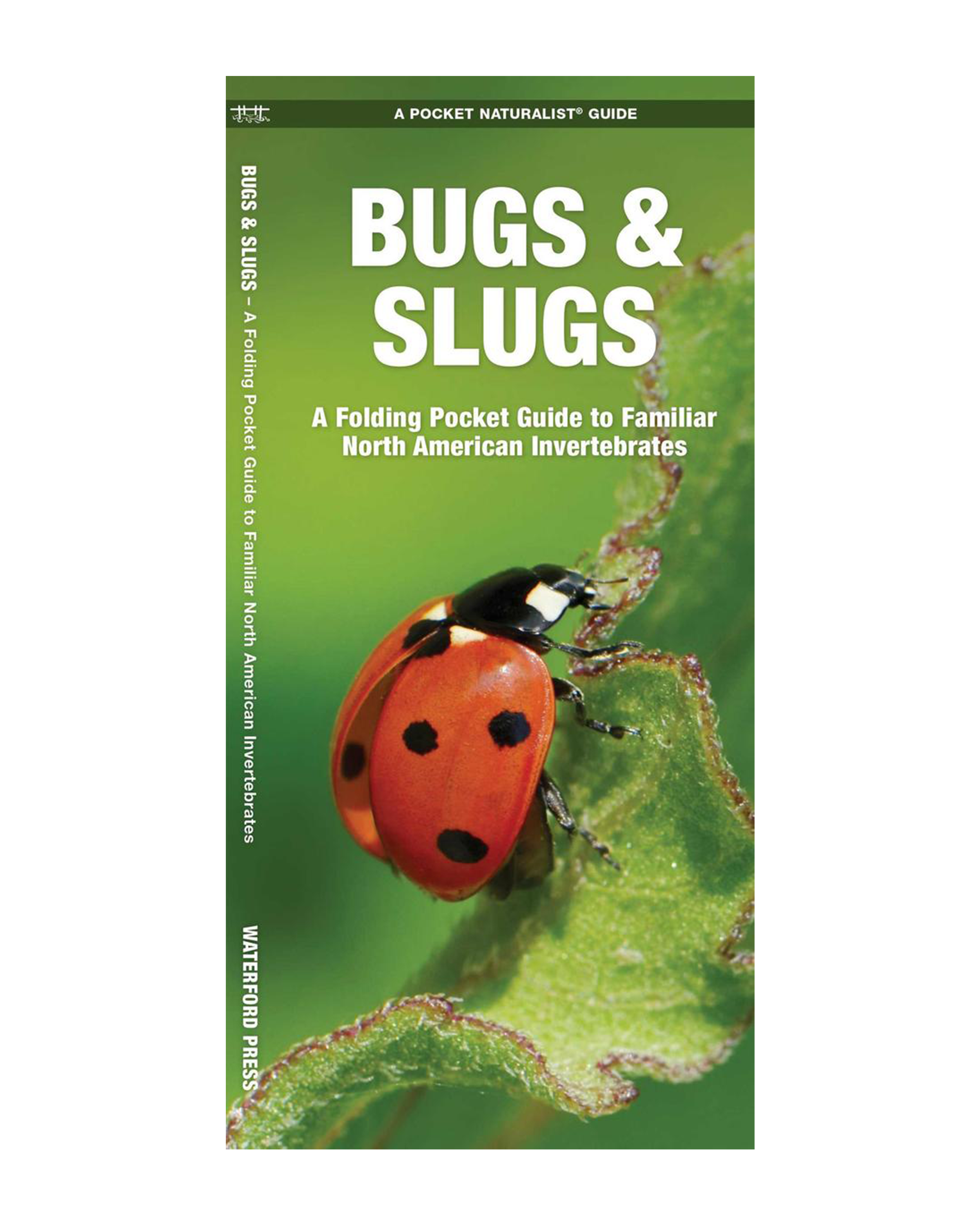 Bugs & Slugs: A Folding Pocket Guide