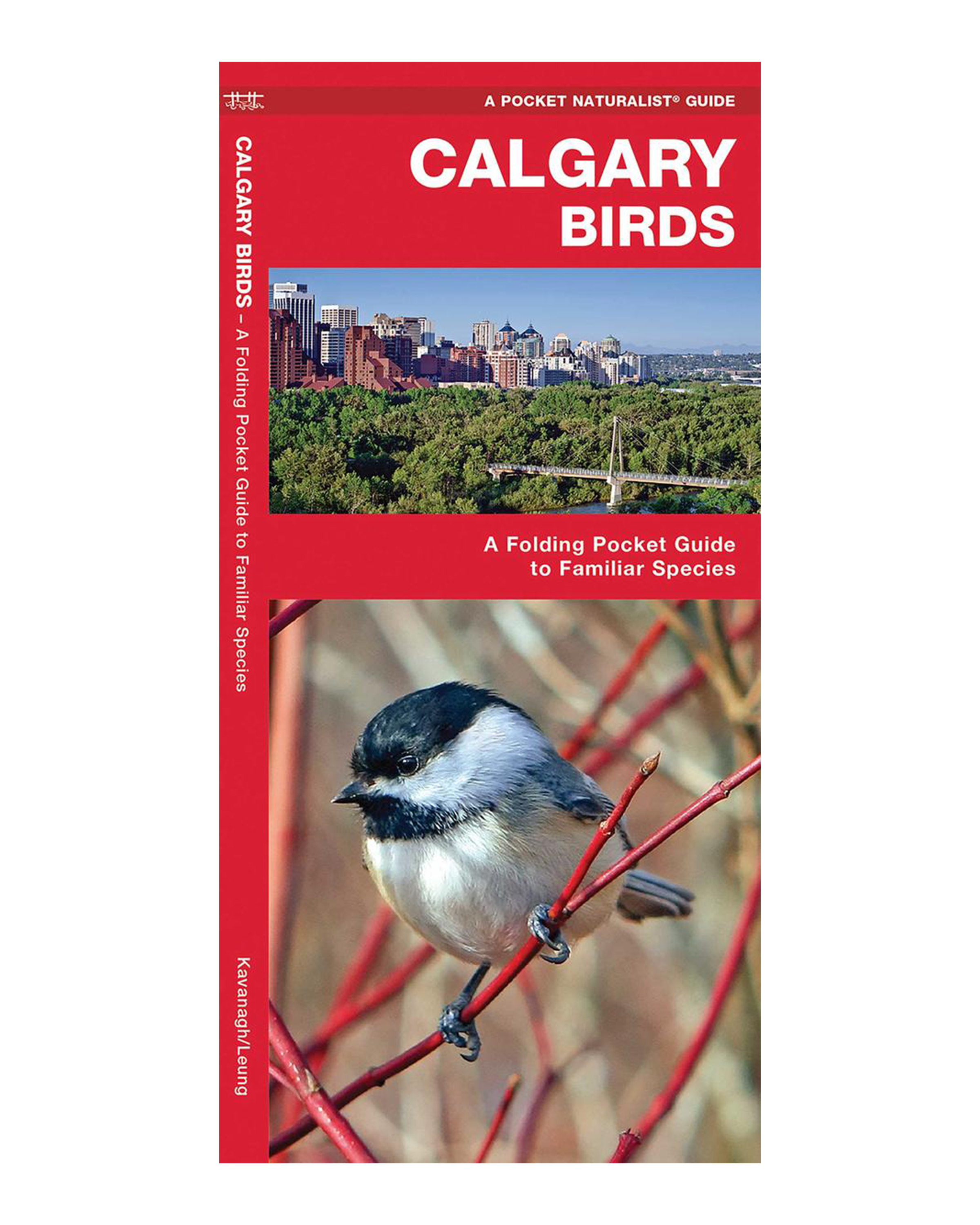 Calgary Birds: A Folding Pocket Guide to Familiar Species