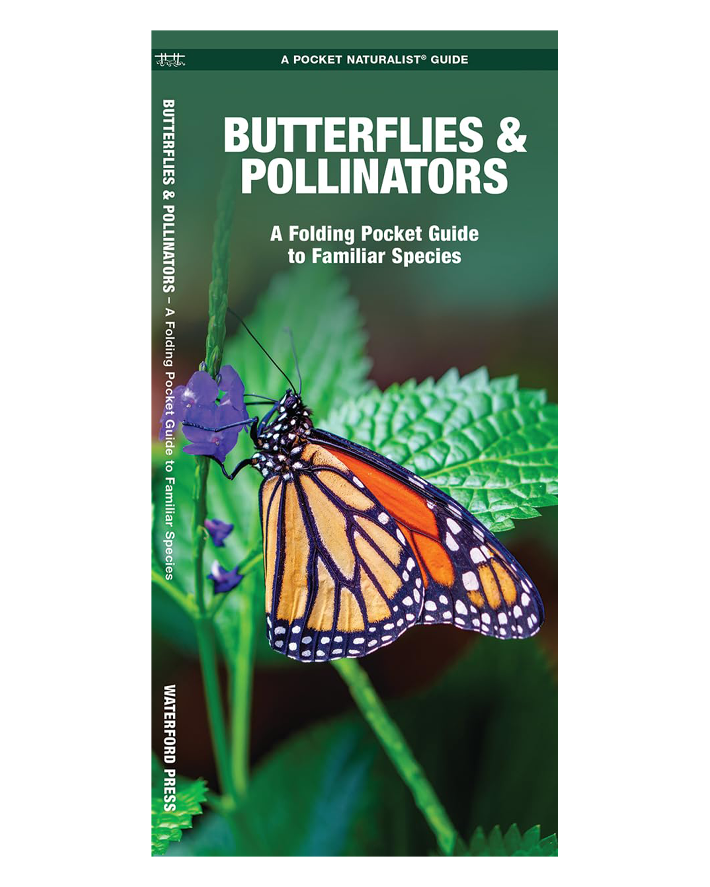 Butterflies and Pollinators: A Folding Pocket Guide