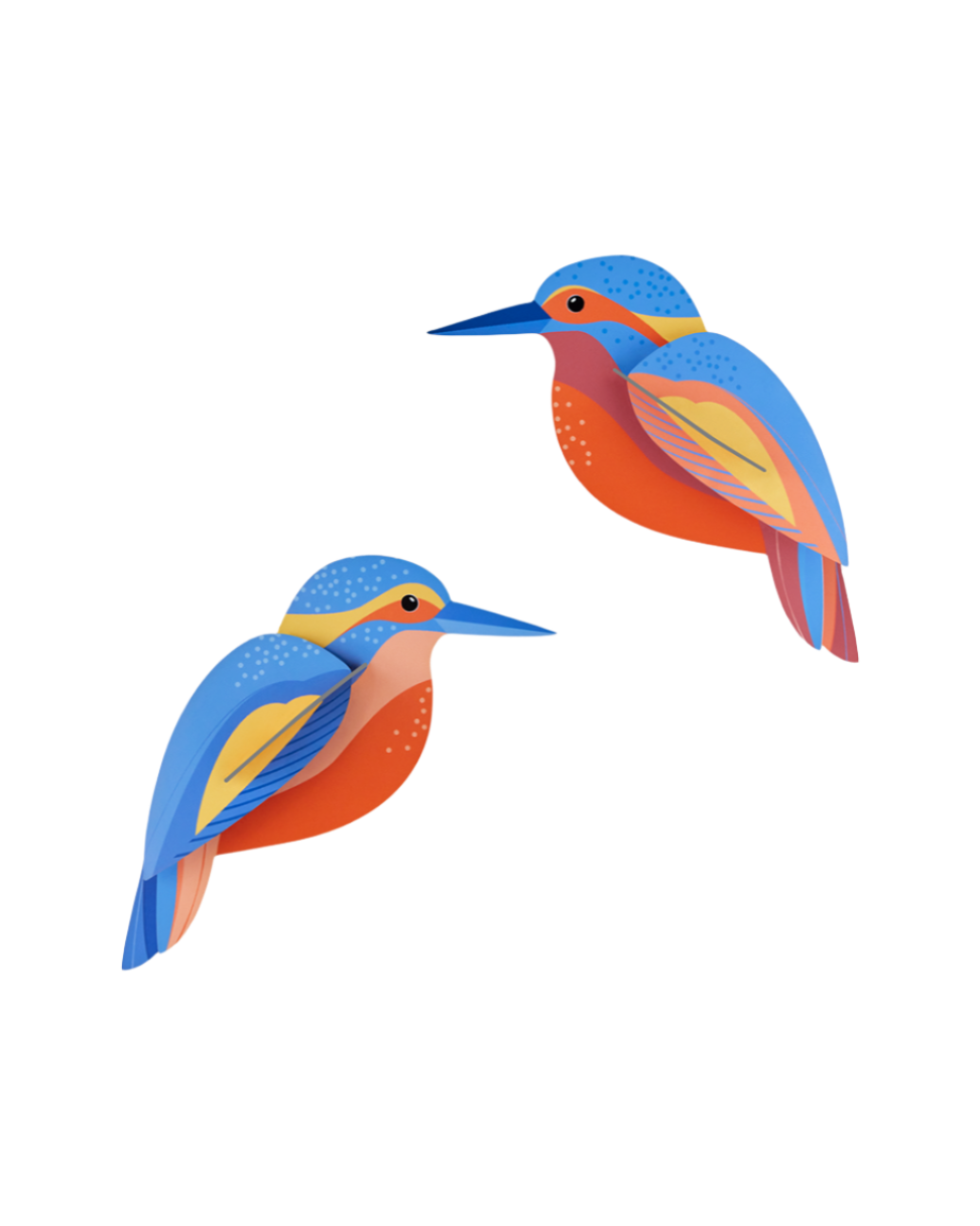 Kingfishers