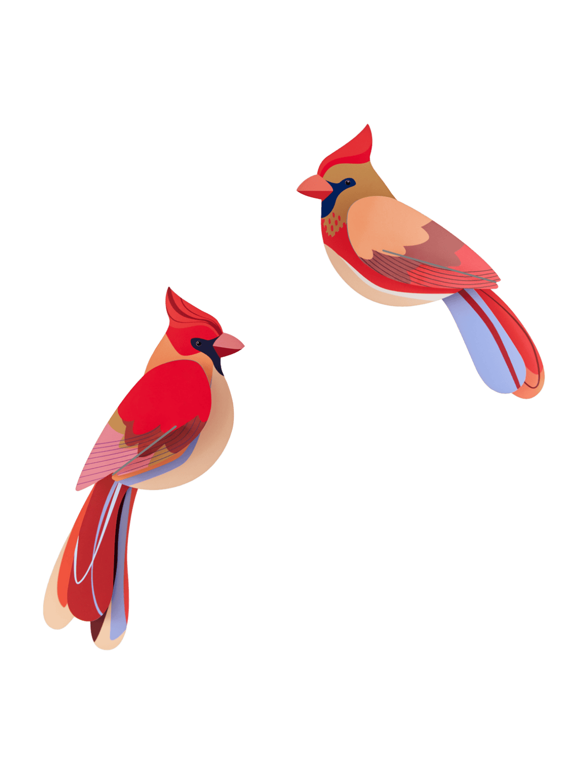 Cardinals