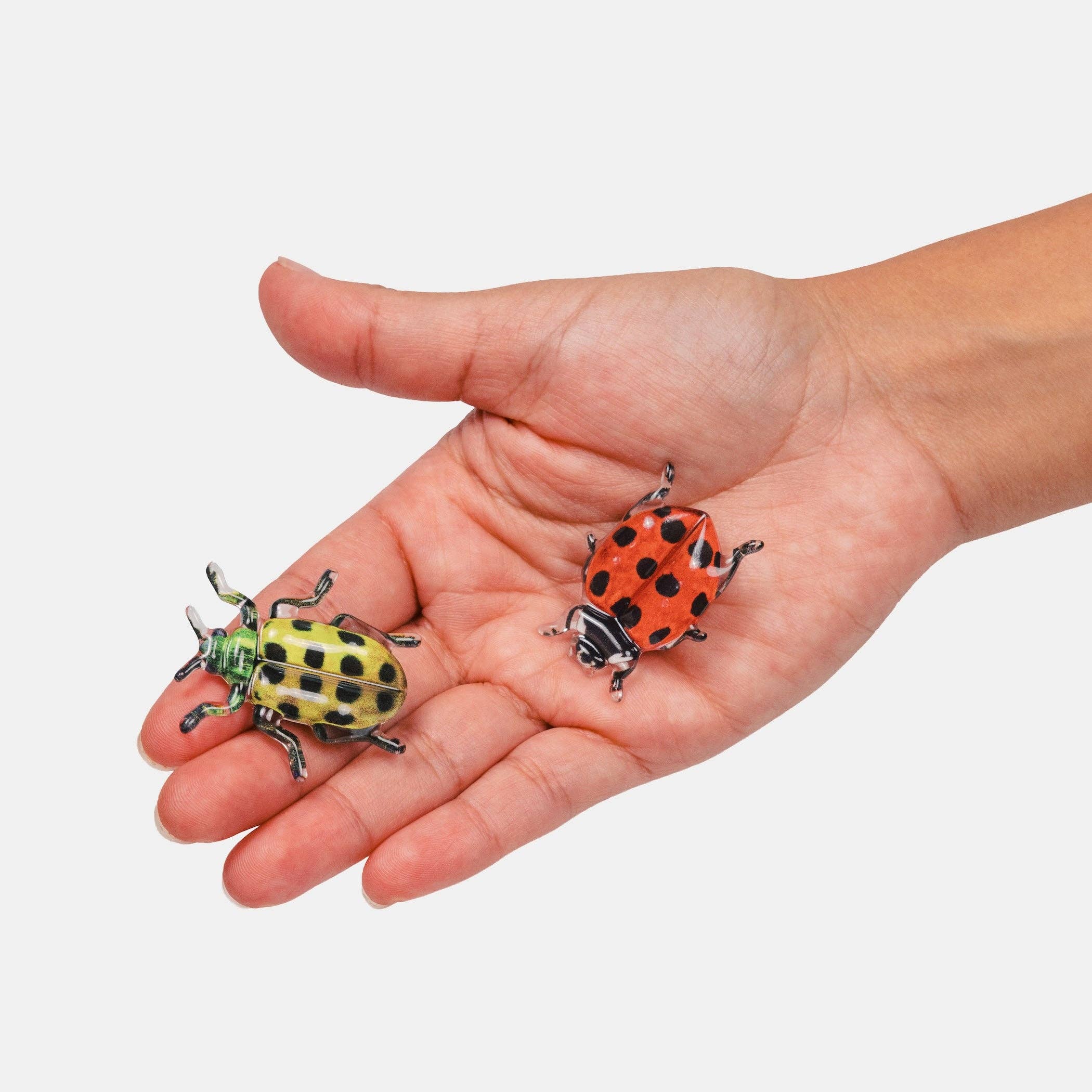 Allie Clips in Spotted Crawlers