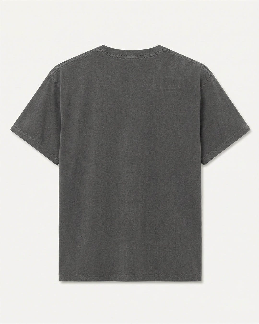 Kootenay Rockies Tour Vintage T-Shirt - Faded Black