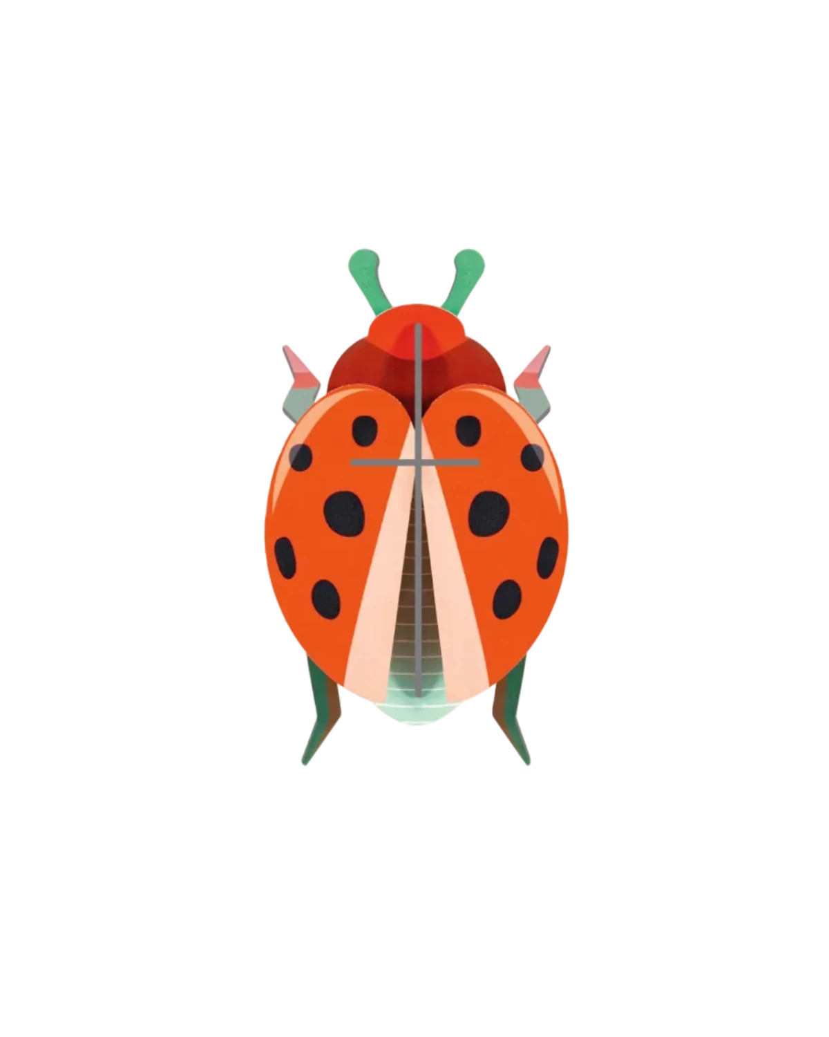 Ladybug