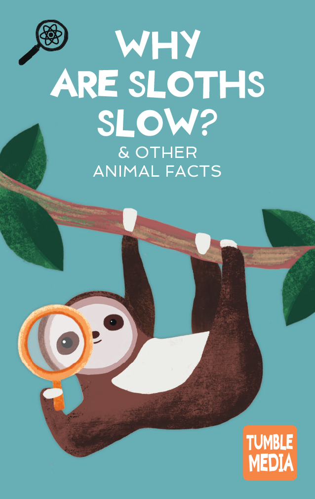 Tumble Science: Animal Facts, Critter Curiosities & Gross Science Yoto Card Pack - image 2