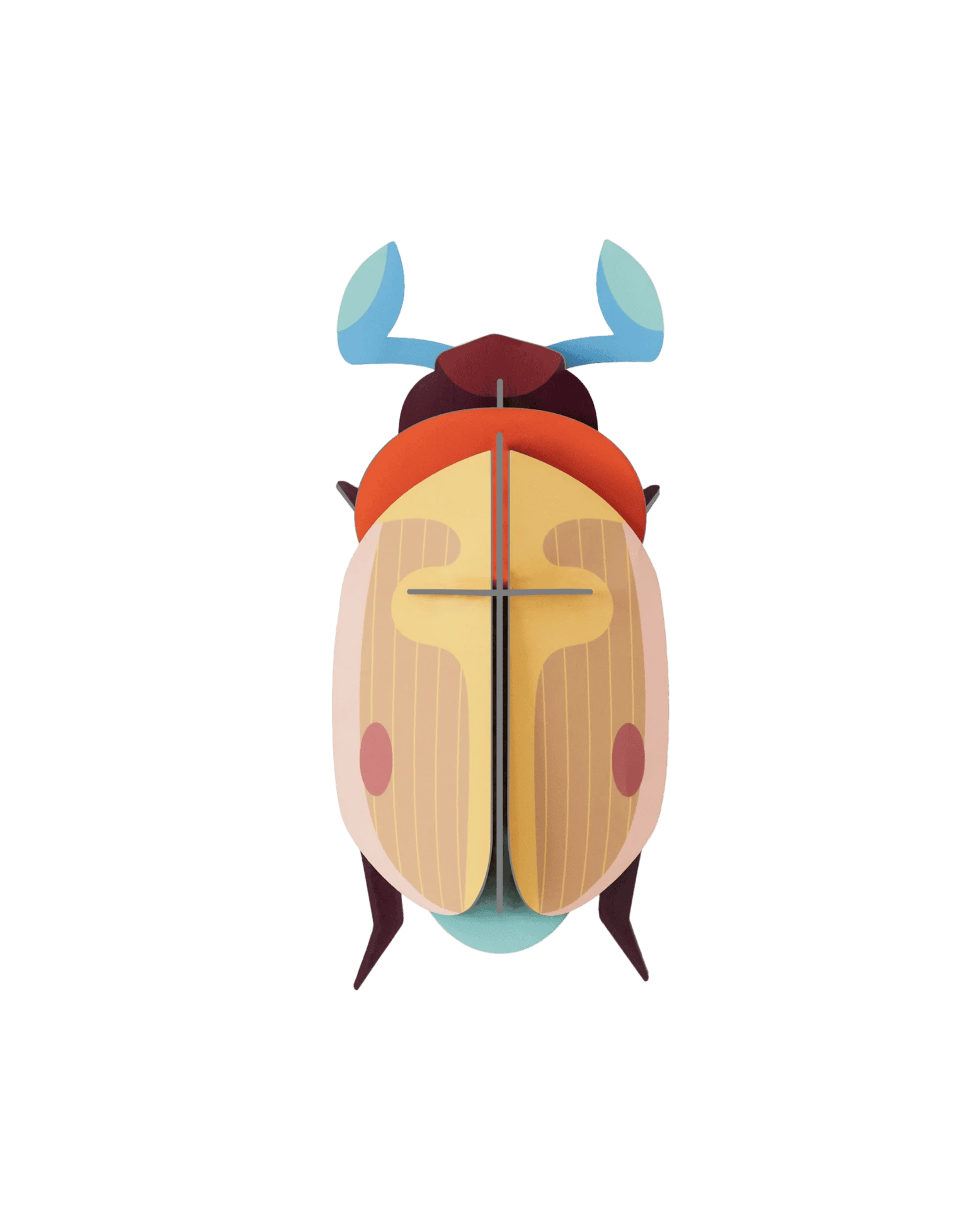 Lemon Fruit Beetle