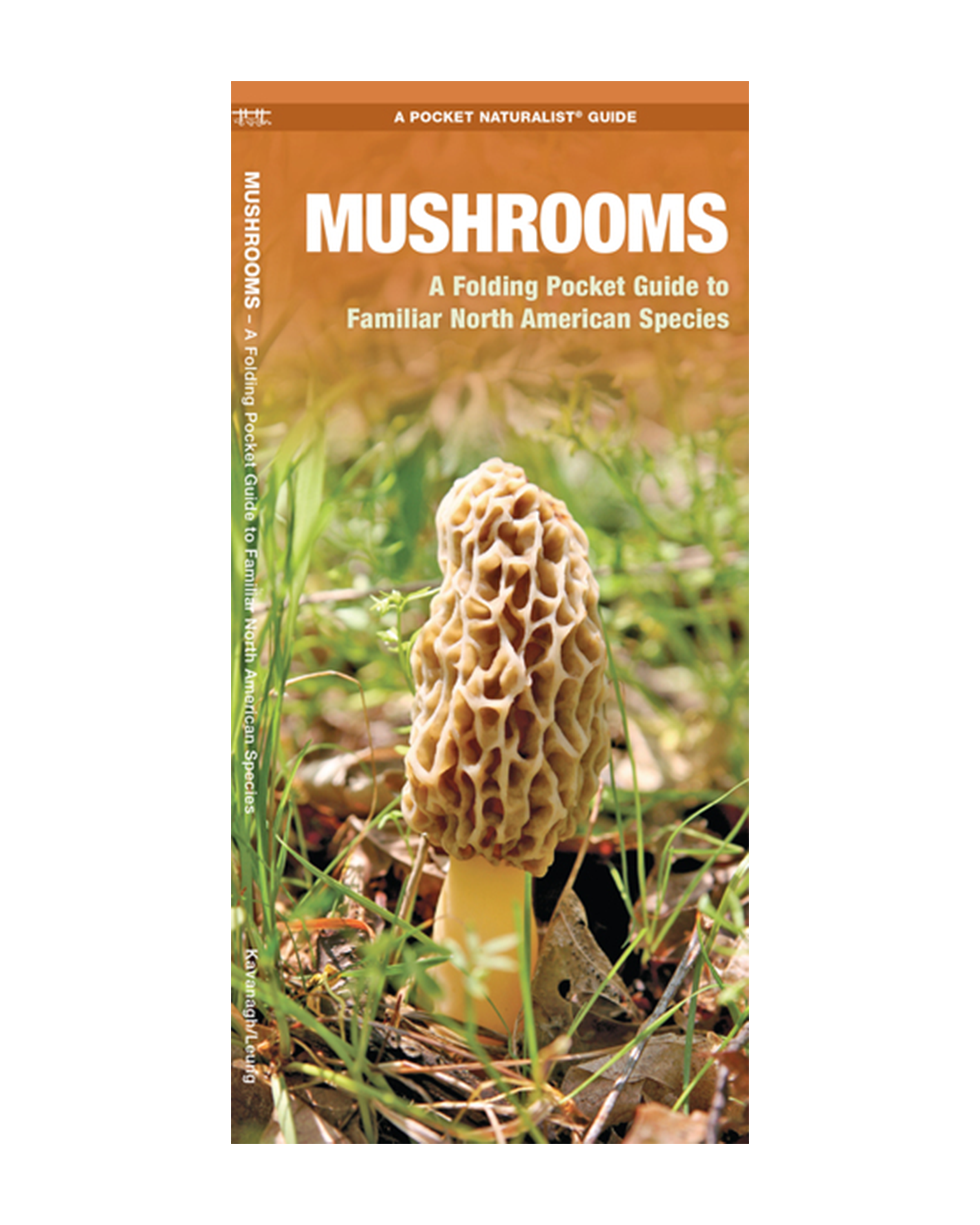 Mushrooms: A Folding Pocket Guide