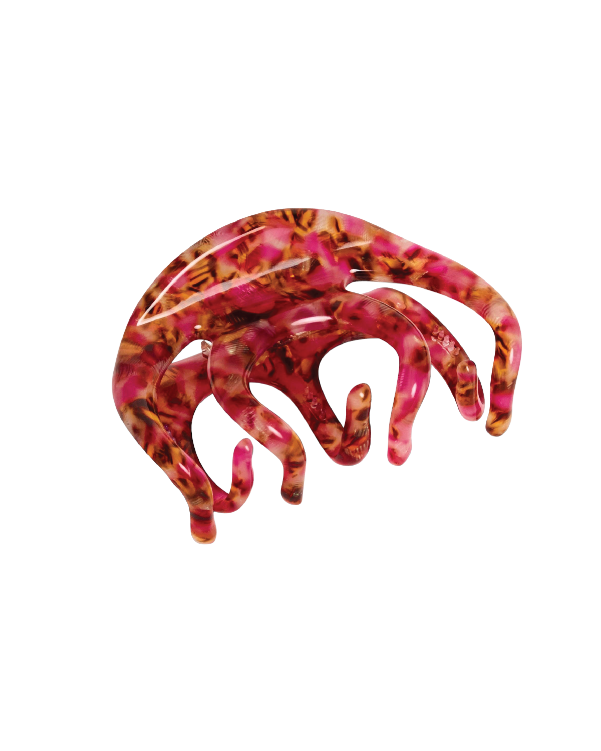 Octopus Claw in Blossom