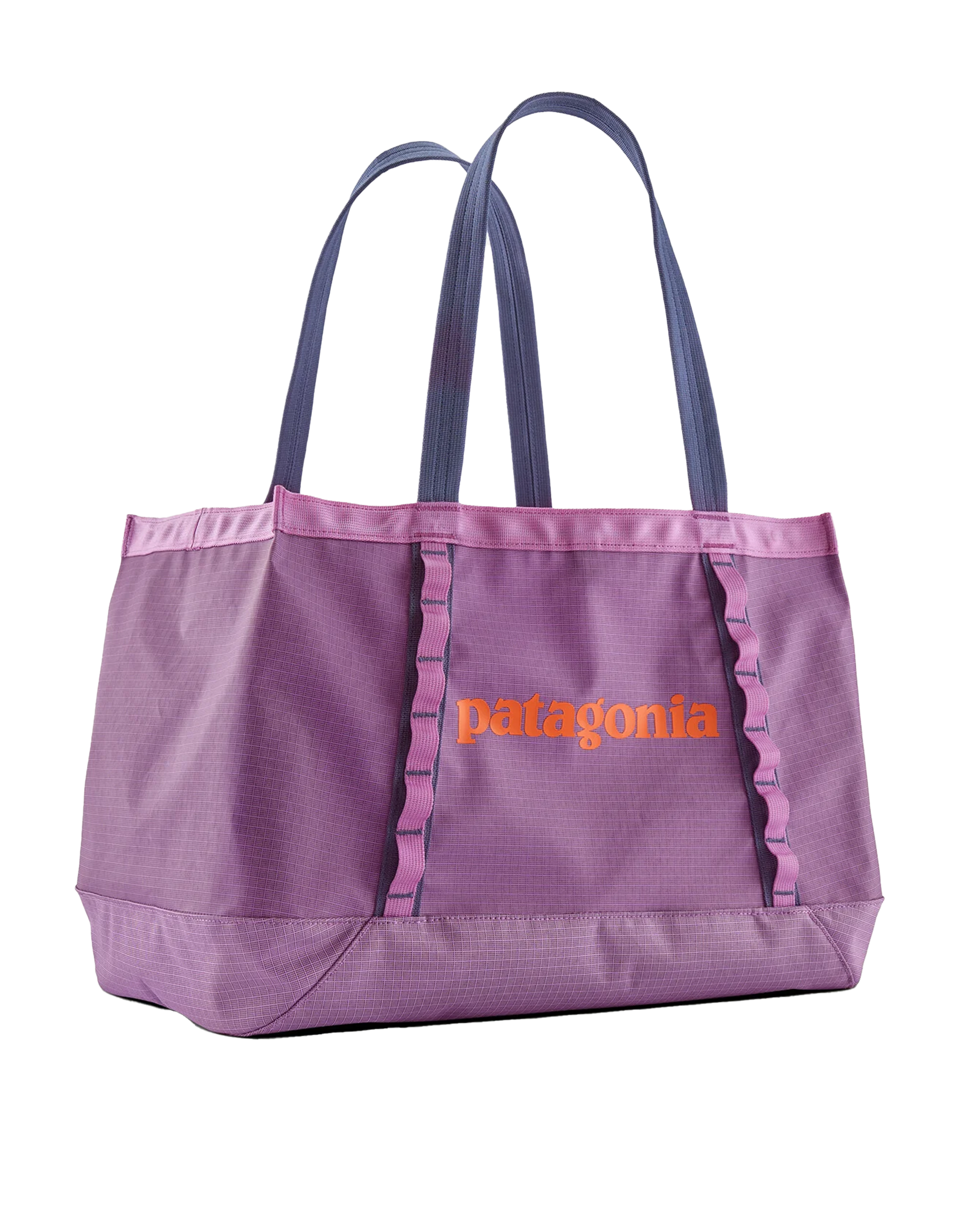 Black Hole Tote 25L Brisk Purple