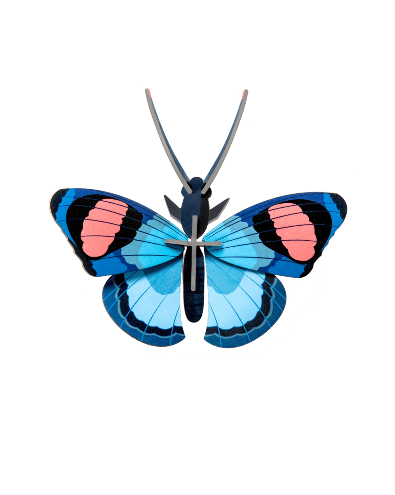 Peacock Butterfly