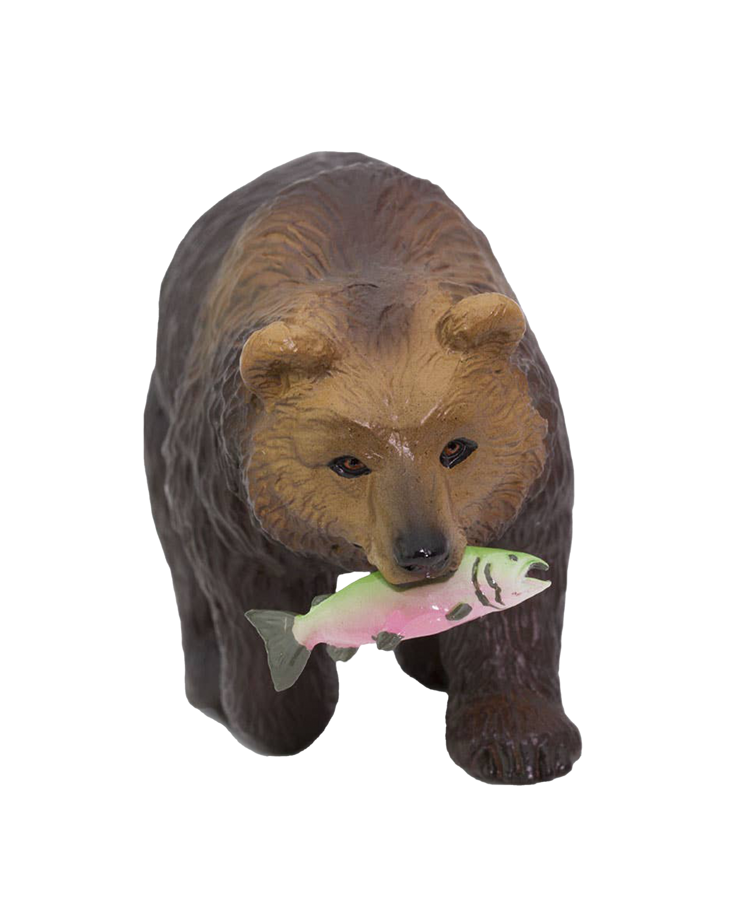 Grizzly Bear