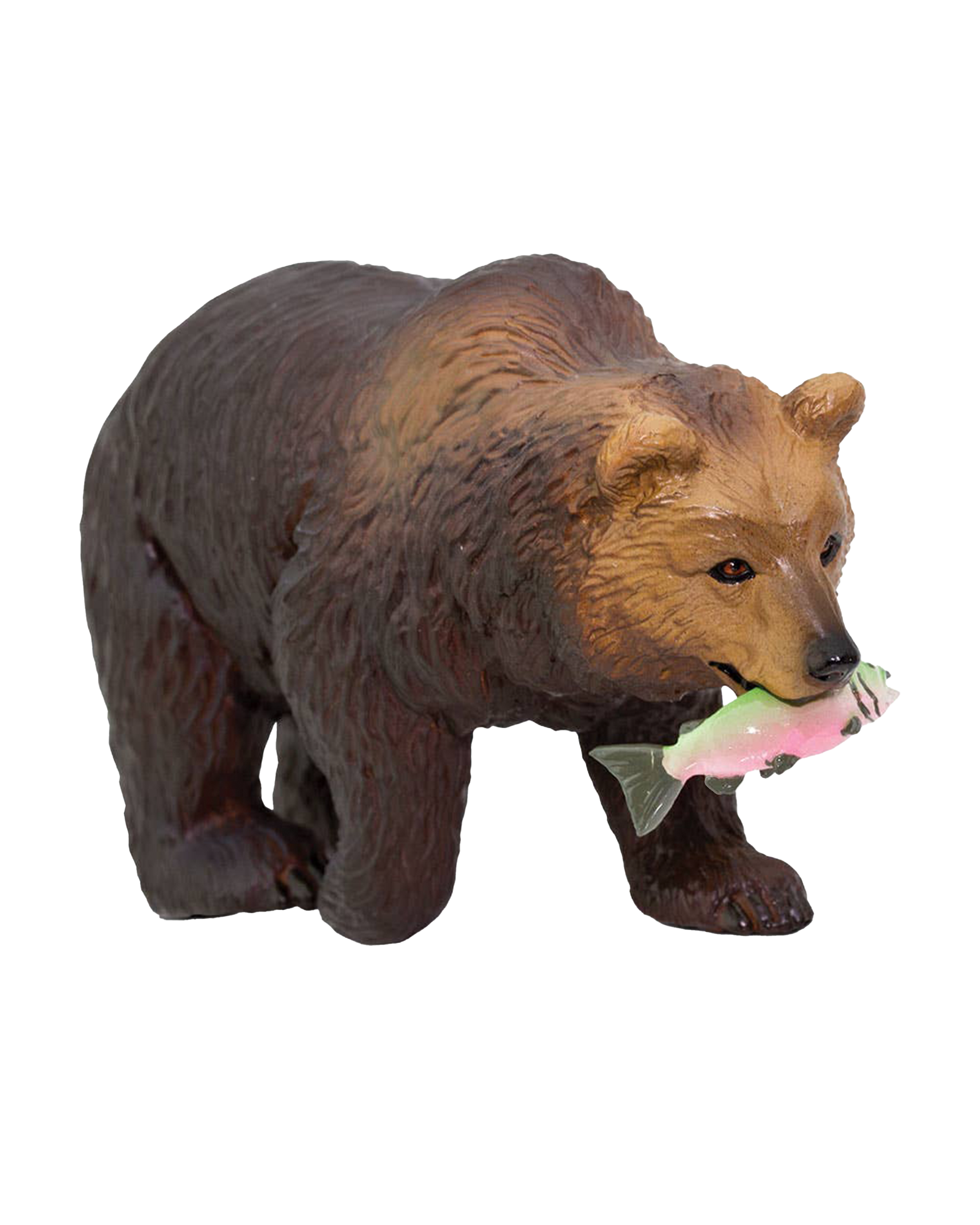 Grizzly Bear