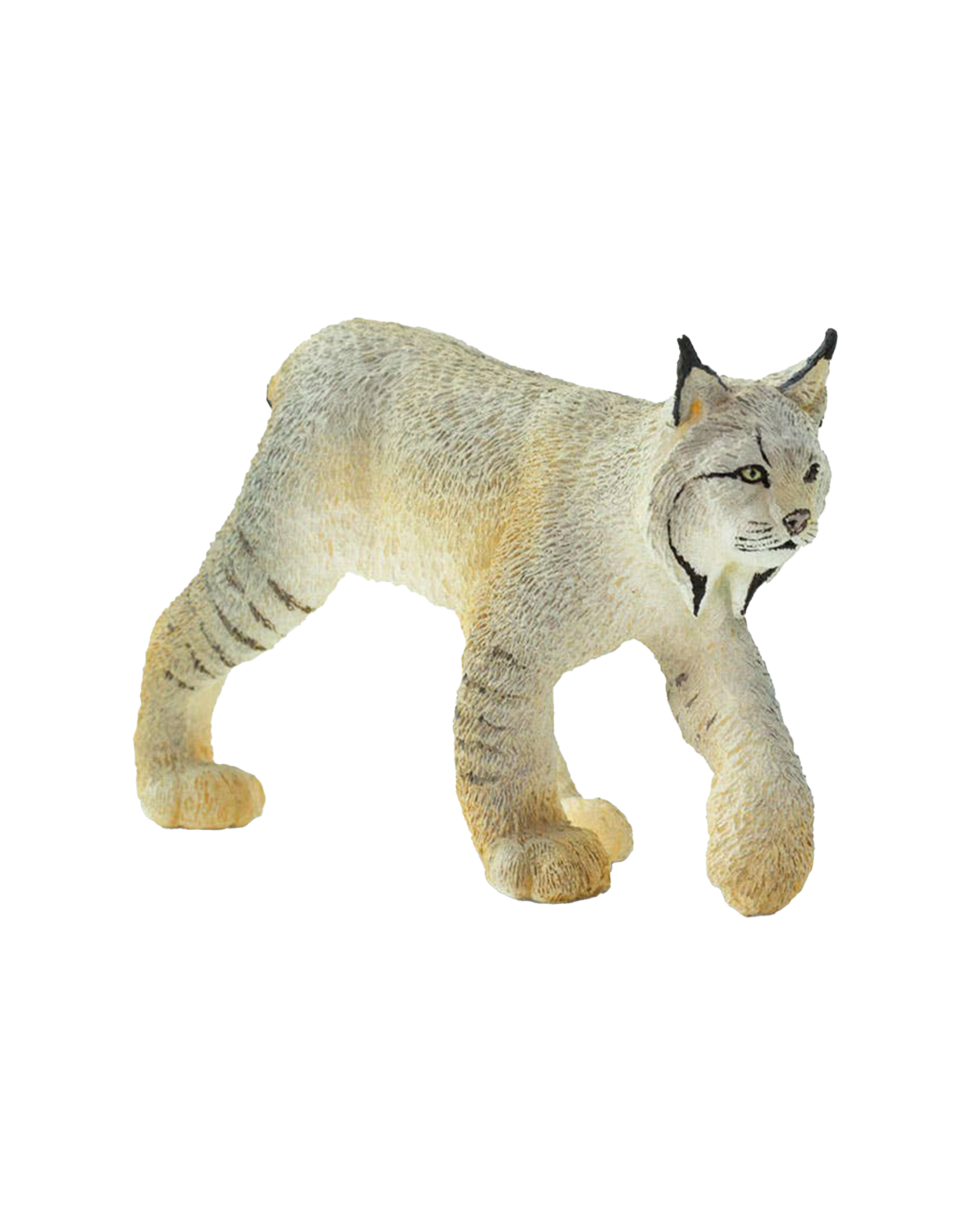 Lynx