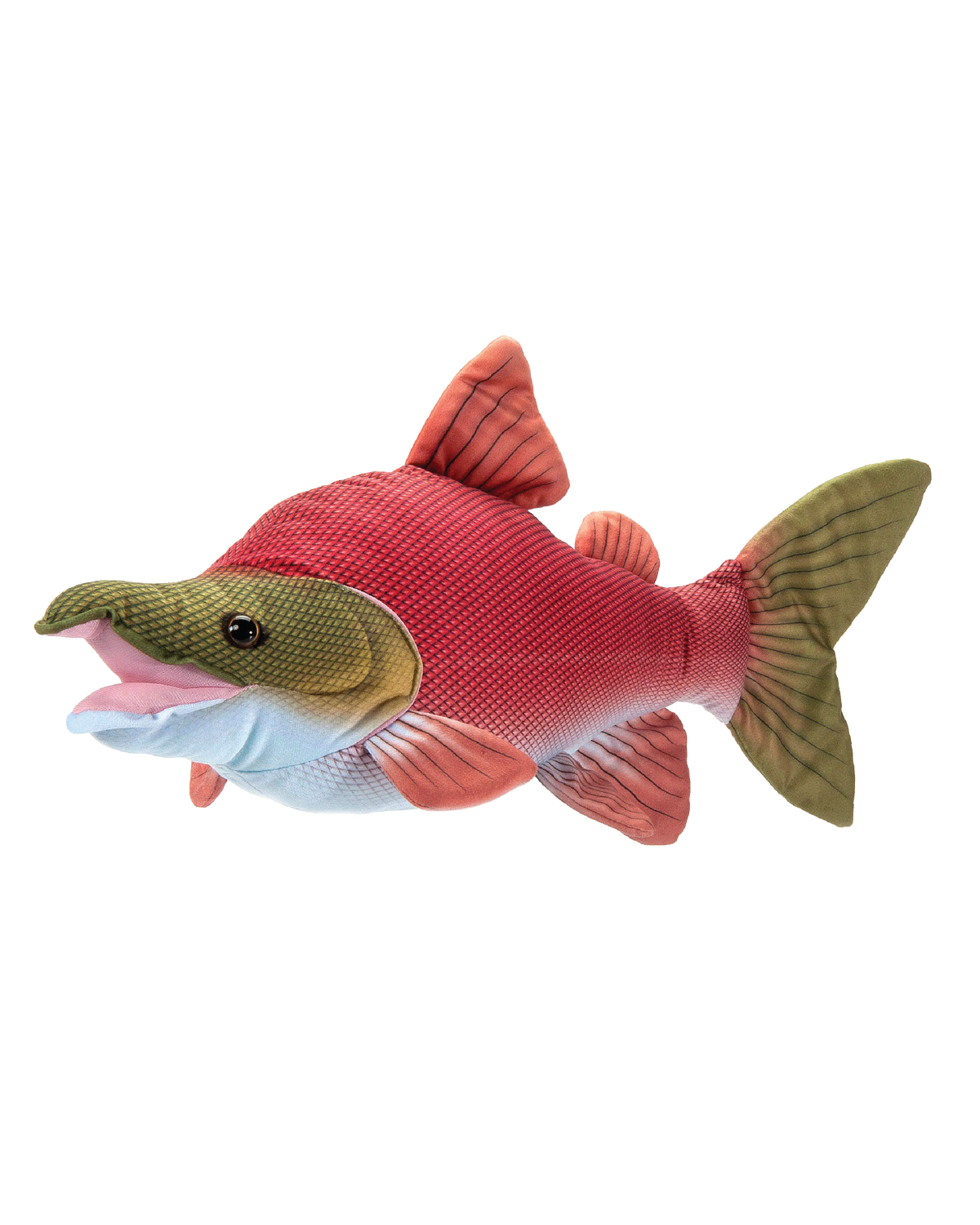 River Fish Sockeye Salmon