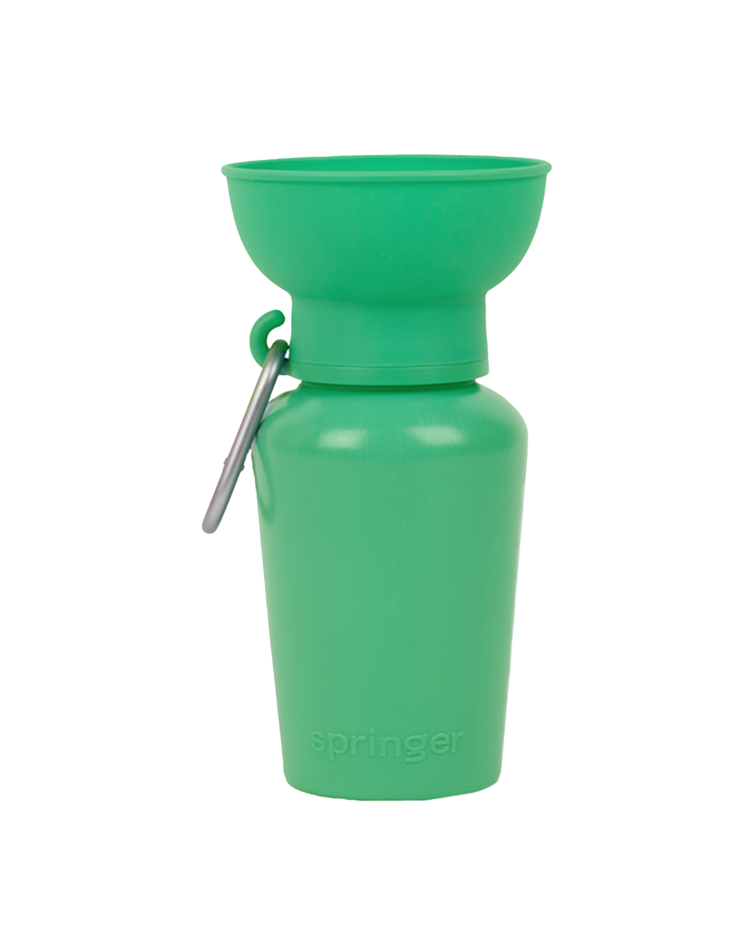 Flip Dog Travel Water Bottle 20oz - Springer Green