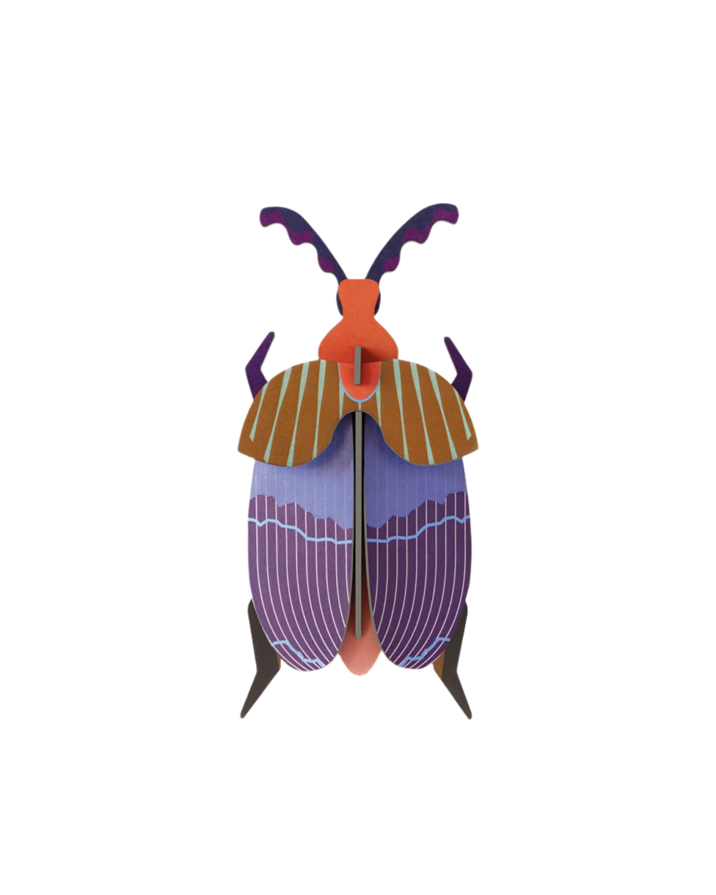 Queen Beetle